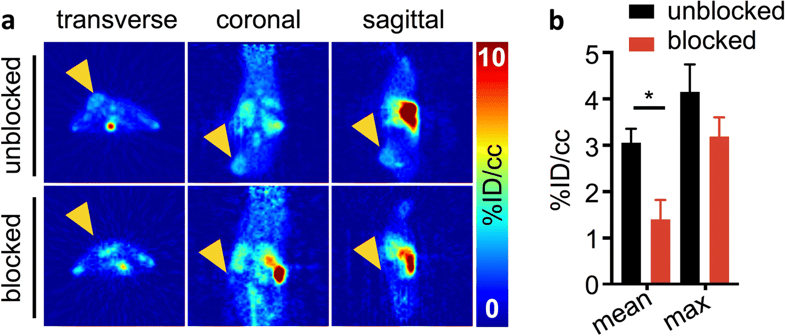 11307_2018_1288_Fig3